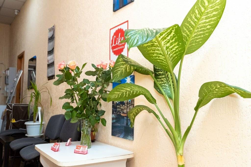 Фото Хостела Лайк Симферополь 56